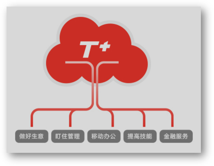 畅捷通T6